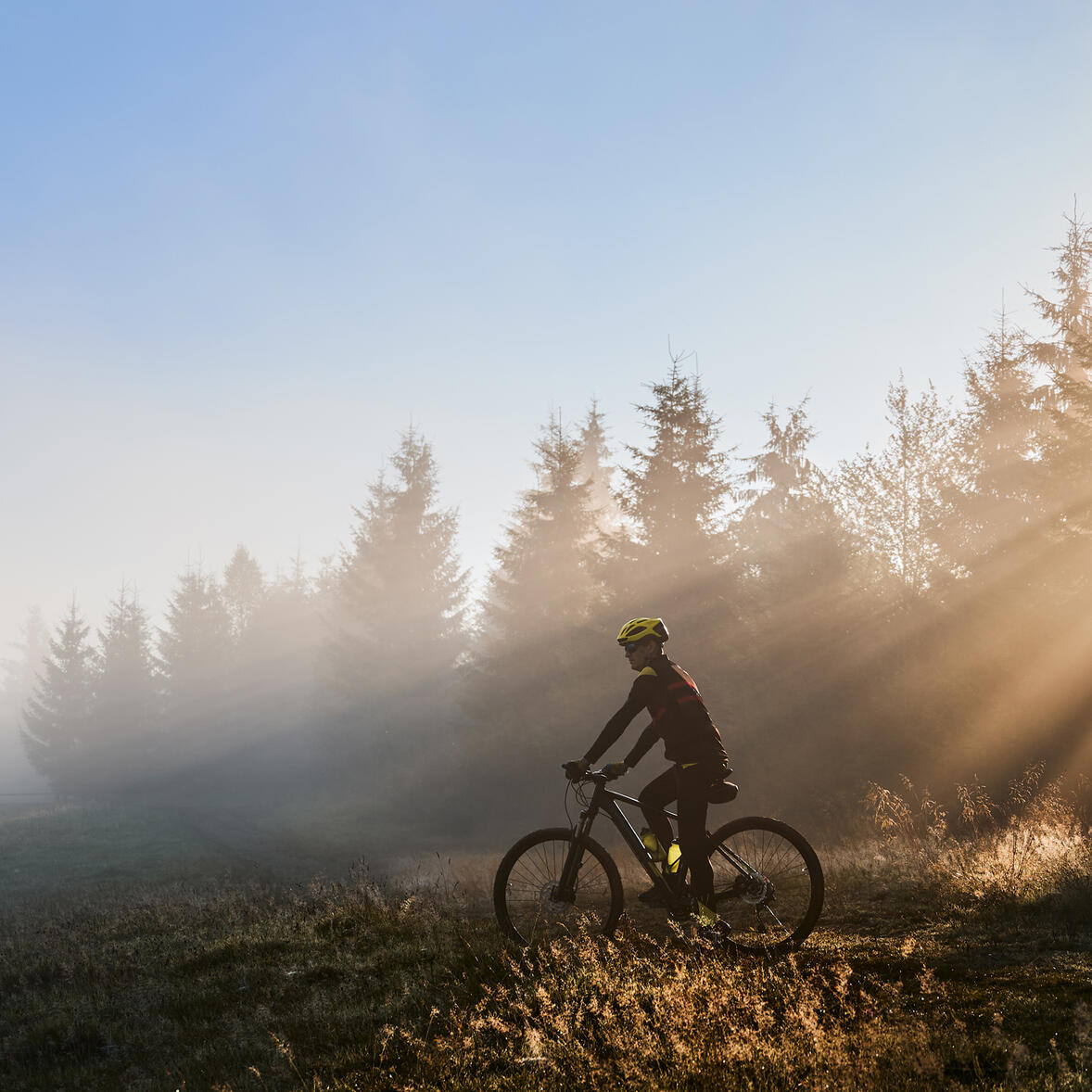 Radfahren &amp; Natur
